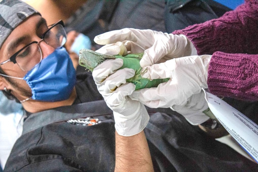 Pachuca fortalece la capacitación especializada con el Segundo Curso de Rehabilitación de Fauna Silvestre