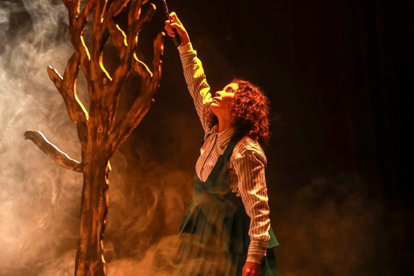  Abre convocatoria el XXI Festival de Monólogos: Teatro a Una Sola Voz