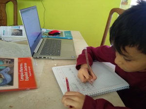 SEPH FORTALECE LA MEJORA CONTINUA Y SUMA ACCIONES DURANTE EL AISLAMIENTO PREVENTIVO