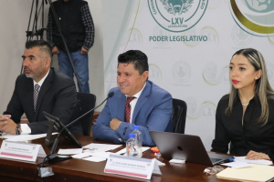 5 INFORME DE RESULTADOS AVANCE HIST&Oacute;RICO EN LA AGRICULTURA HIDALGUENSE