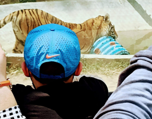 La Unidad en Pachuca, es el único centro de México con protocolos y biosimuladores para la recuperación de la fauna silvestre