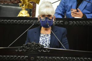 Que SEPH se involucre tambi&eacute;n en el combate vs los delitos sexuales cibern&eacute;ticos, propuesta