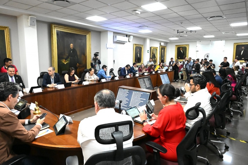 Con iniciativa, legisladores reconocen a las abejas como especie de protección prioritaria