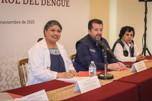 Por iniciativa de la SSH, estados del centro del pa&iacute;s se re&uacute;nen&nbsp;para debatir sobre combate al dengue