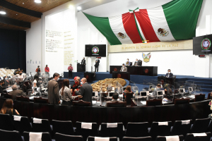 PARTIDOS DEBER&Aacute;N ALTERNAR G&Eacute;NERO EN CANDIDATURAS A GOBERNADOR