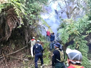 Bomberos se suman a labores para combatir incendio forestal