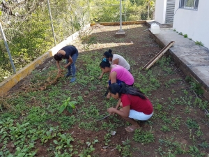 Hidalgo no reporta casos de&nbsp;dengue al primer trimestre de 2024