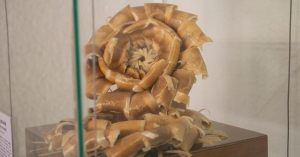 Museo H&ntilde;&auml;h&ntilde;&uacute; preserva patrimonio cultural del Valle del Mezquital