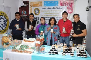 Sebiso busca actualizar Directorio Digital de Personas Artesanas