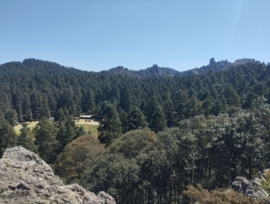 Protecci&oacute;n Civil lleva a cabo la primera reuni&oacute;n de prevenci&oacute;n de riesgos en temporada vacacional