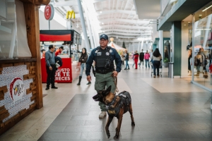 Binomios K9 y Polic&iacute;a Municipal fortalecen la seguridad en plazas comerciales de Pachuca
