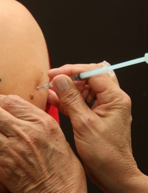 Las campa&ntilde;as de inmunizaci&oacute;n permiten erradicar enfermedades