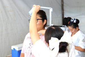 Obesidad: un reto prioritario de salud p&uacute;blica