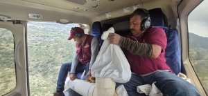 Esferas de Vida llega a 3 mil 215 hect&aacute;reas con 4 millones de semillas
