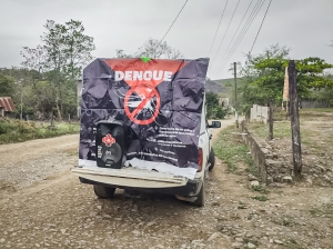 Ante incremento de casos de dengue, SSH implementa medidas en la región Huasteca