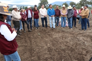 Experimenta Semarnath uso de&nbsp;bios&oacute;lidos en zonas agr&iacute;colas de Hidalgo&nbsp;