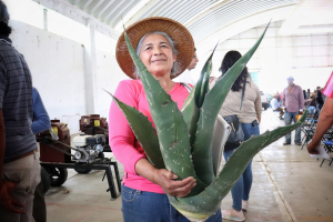 Se impulsa la participación de las mujeres en la ciencia a través de la conservación y preservación del maguey pulquero