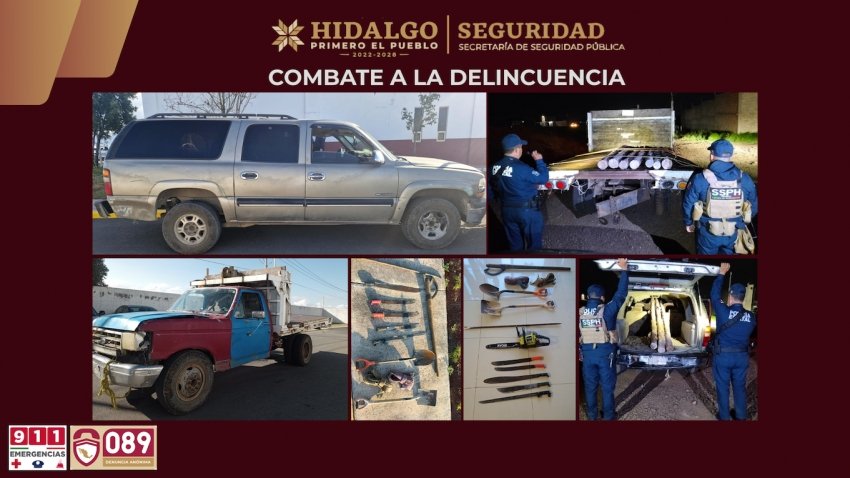 SSPH detiene a ocho personas por presunta tala clandestina
