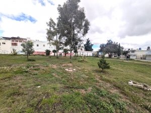 Inconformidad vecinal por construcci&oacute;n de telebachillerato en Camino Real
