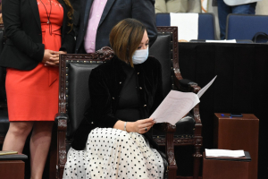 Plantea bancada panista, exhortos en materia de seguridad y mascotas abandonadas