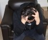 Depresi&oacute;n: primera causa de&nbsp;atenci&oacute;n mental en Hidalgo, revela SSH