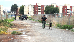 Localizan osamenta humana en terreno bald&iacute;o del sur de Pachuca