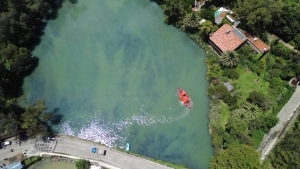 Hidalgo recupera la Presa Azul: retiran m&aacute;s de mil toneladas de lirio acu&aacute;tico en Huasca