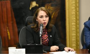 Aprobada iniciativa de la Diputada Claudia Luna que modifica la Ley del Registro P&uacute;blico de la Propiedad  &nbsp;