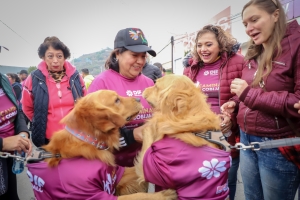 Realiza DIF Hidalgo primera Caminata con Causa