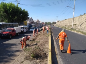 Trabajos de limpieza general en el boulevard Nuevo Hidalgo, en la capital del estado.