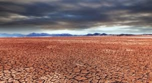 Restaurar los suelos, detener la desertificaci&oacute;n y fortalecer la resiliencia a la sequ&iacute;a, ejes del D&iacute;a Mundial del Medio Ambiente