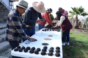Avanza estrategia de reforestaci&oacute;n en zonas de dif&iacute;cil acceso