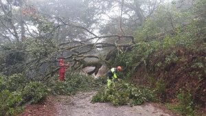 Hidalgo sin cierres carreteros, pese a derrumbes
