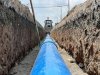 Contin&uacute;an los trabajos de sustituci&oacute;n de la l&iacute;nea de agua del bulevar Santa Catarina
