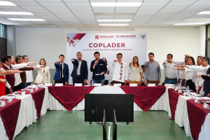 Cercan&iacute;a, sensibilidad humana y planeaci&oacute;n estrat&eacute;gica, en los Comit&eacute;s de Planeaci&oacute;n Regional