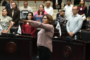 Toma protesta María del Rosario Guerrero Martínez en su cargo como diputada en funciones de la LXVI Legislatura