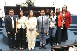 Legisladores proponen regular la custodia y el plan de cuidados de seres sintientes en procesos de divorcio