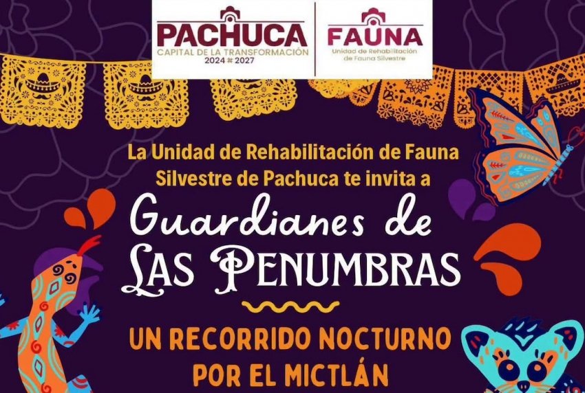 Mictlán cobra vida en experiencia nocturna en Pachuca