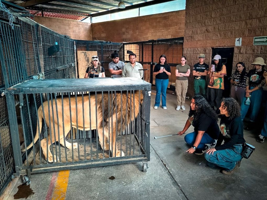Refuerza Pachuca profesionalización en bienestar animal y conservación de fauna silvestre