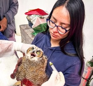Pachuca destaca a nivel nacional con programa de formaci&oacute;n profesional en la Unidad de Fauna