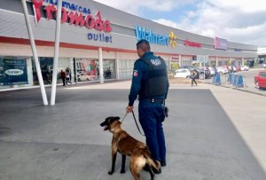 Arranca operativo Guadalupe &ndash; Reyes&nbsp;