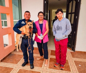 Atienden reporte por presunto abandono de perros en vivienda del fraccionamiento Media Luna