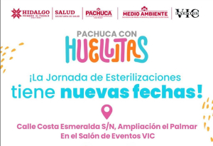 Nueva jornada de esterilización para perritos y gatitos en Ampliación El Palmar.
