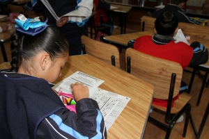 SE APLICÓ EVALUACIÓN PLANEA A ESTUDIANTES DE 4º Y 5º GRADO DE PRIMARIA EN HIDALGO