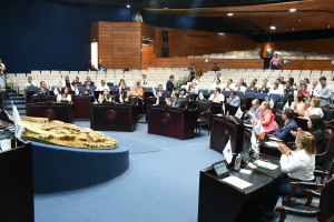 Con dictamen, legisladores protegen el acceso a la salud de v&iacute;ctimas de violencia familiar