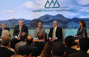 Claudia Sheinbaum promete a productores disminuir extorsiones y dar seguridad social a jornaleros