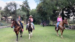 Hidalgo logra un a&ntilde;o de conexi&oacute;n y promoci&oacute;n tur&iacute;stica