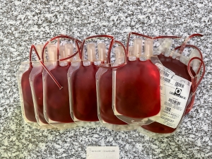 Con personal altamente capacitado, CETS alcanzó más de 12 mil donaciones de sangre