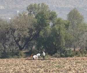 Bajo control, y sin riesgos fuga registrada en la colonia San Primitivo